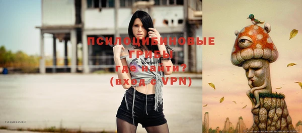 ешки Осташков